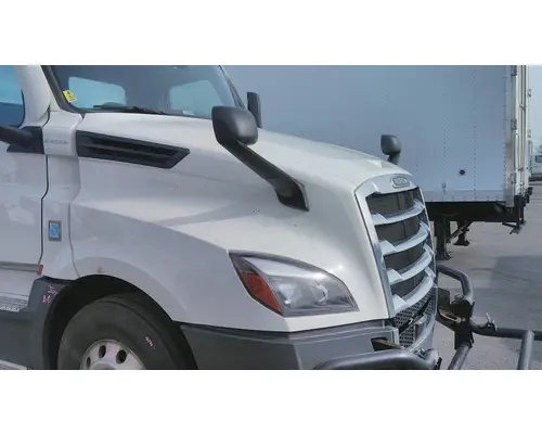 FREIGHTLINER CASCADIA 126 HOOD
