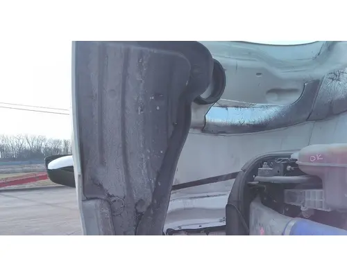 FREIGHTLINER CASCADIA 126 HOOD