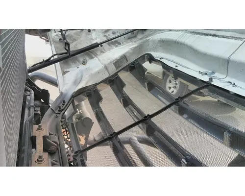 FREIGHTLINER CASCADIA 126 HOOD