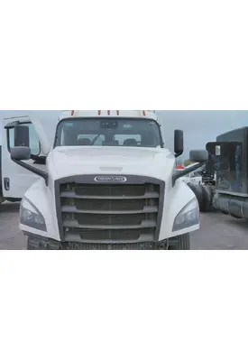 FREIGHTLINER CASCADIA 126 HOOD
