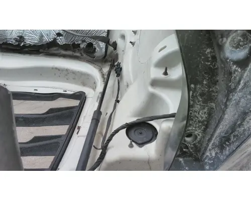 FREIGHTLINER CASCADIA 126 HOOD