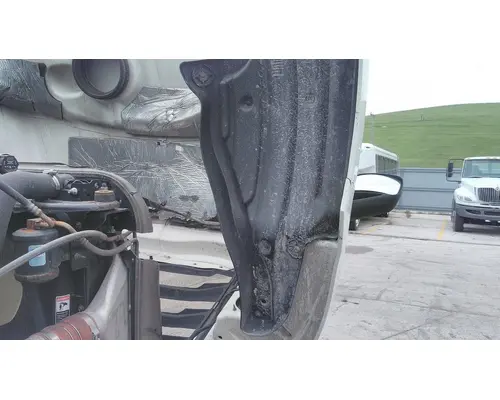 FREIGHTLINER CASCADIA 126 HOOD