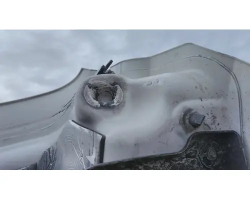 FREIGHTLINER CASCADIA 126 HOOD