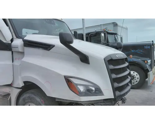 FREIGHTLINER CASCADIA 126 HOOD