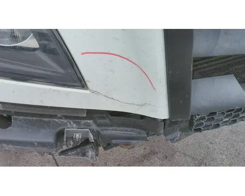 FREIGHTLINER CASCADIA 126 HOOD