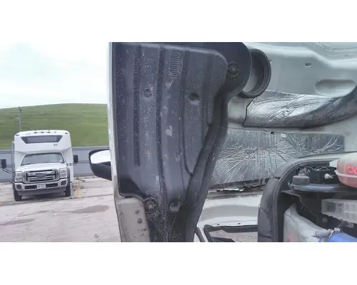 FREIGHTLINER CASCADIA 126 HOOD