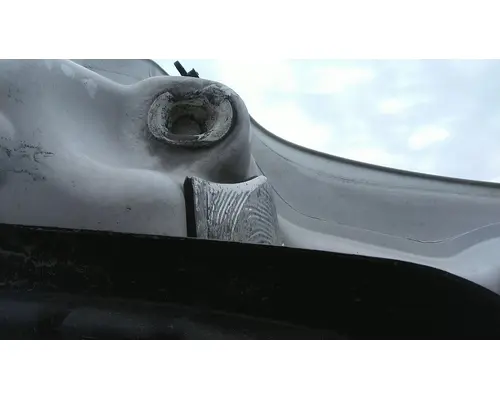 FREIGHTLINER CASCADIA 126 HOOD