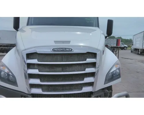 FREIGHTLINER CASCADIA 126 HOOD