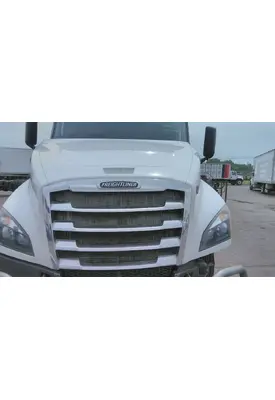 FREIGHTLINER CASCADIA 126 HOOD