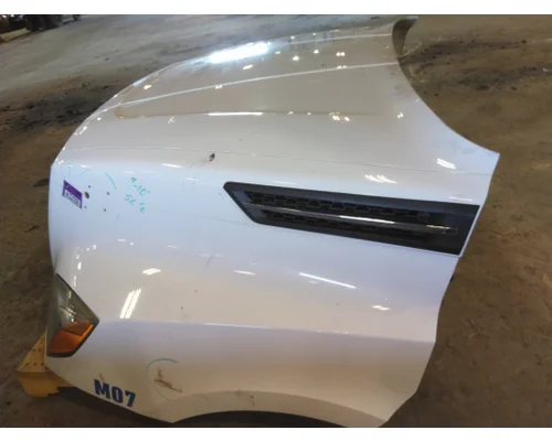 FREIGHTLINER CASCADIA 126 HOOD