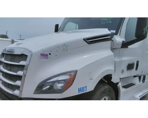 FREIGHTLINER CASCADIA 126 HOOD