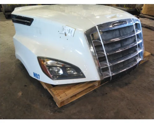 FREIGHTLINER CASCADIA 126 HOOD