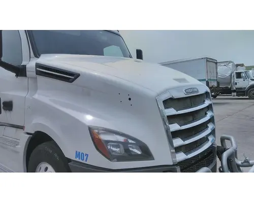 FREIGHTLINER CASCADIA 126 HOOD