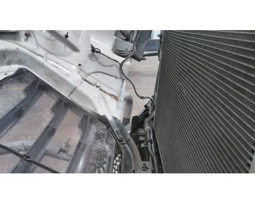 FREIGHTLINER CASCADIA 126 HOOD