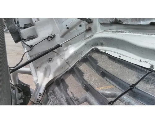 FREIGHTLINER CASCADIA 126 HOOD