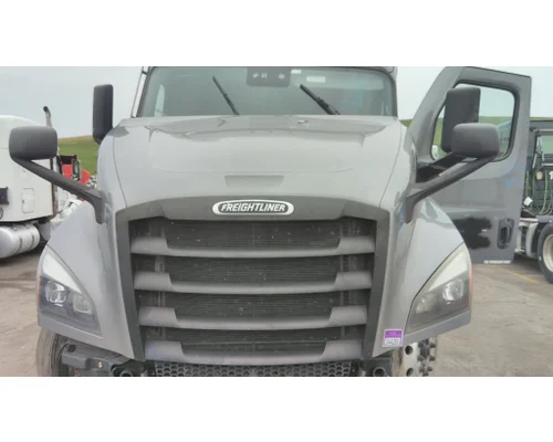 FREIGHTLINER CASCADIA 126 HOOD