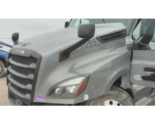 FREIGHTLINER CASCADIA 126 HOOD