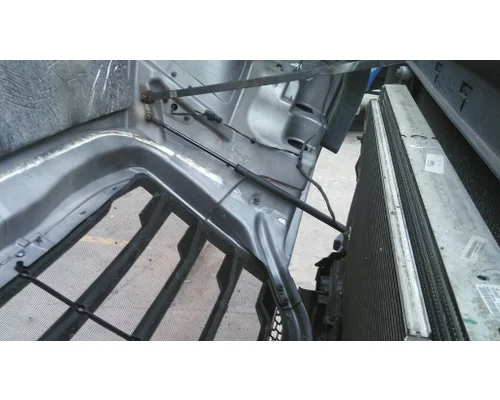 FREIGHTLINER CASCADIA 126 HOOD