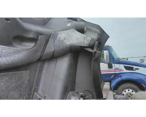 FREIGHTLINER CASCADIA 126 HOOD