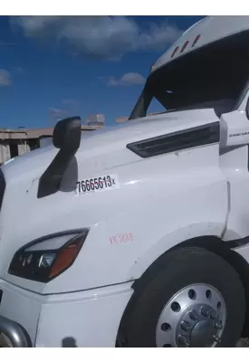 FREIGHTLINER CASCADIA 126 HOOD