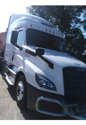 FREIGHTLINER CASCADIA 126 HOOD