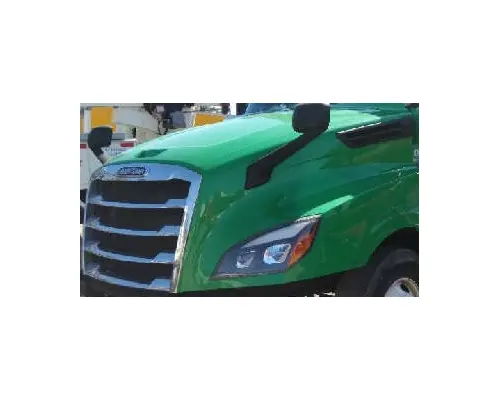 FREIGHTLINER CASCADIA 126 HOOD