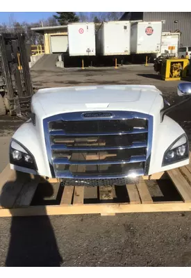 FREIGHTLINER CASCADIA 126 Hood