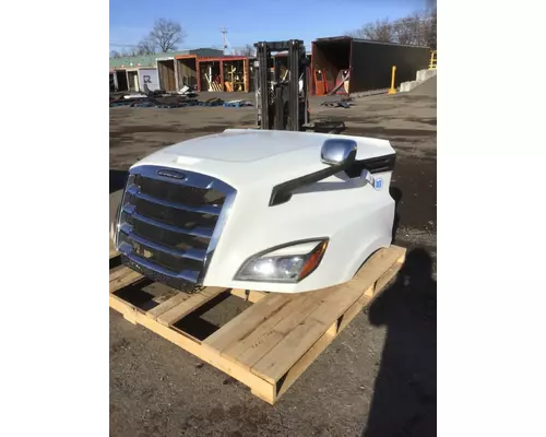 FREIGHTLINER CASCADIA 126 Hood