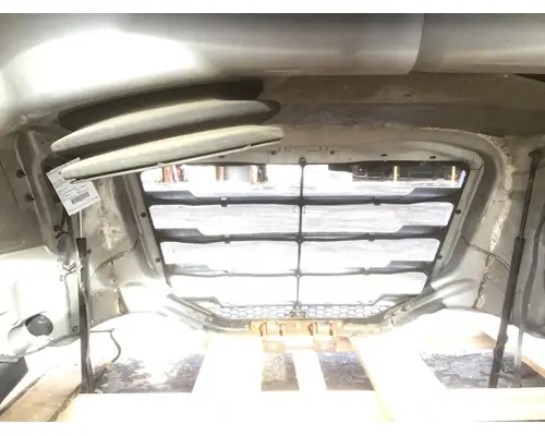 FREIGHTLINER CASCADIA 126 Hood