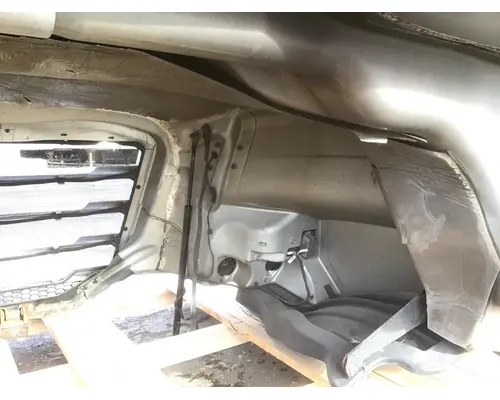 FREIGHTLINER CASCADIA 126 Hood