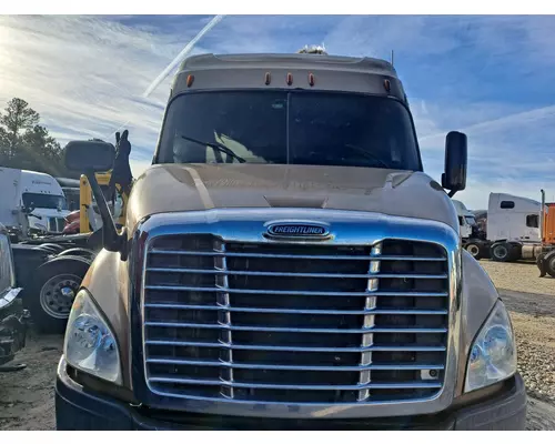 FREIGHTLINER CASCADIA 132 2010-2018 HOOD