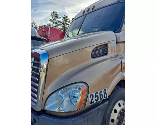 FREIGHTLINER CASCADIA 132 2010-2018 HOOD