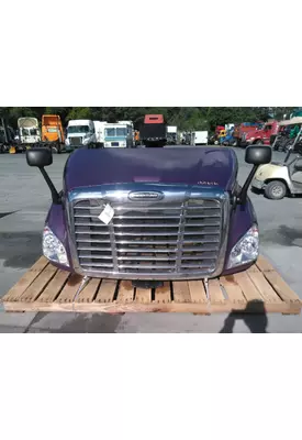 FREIGHTLINER CASCADIA 132 2010-2018 HOOD