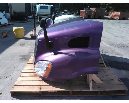 FREIGHTLINER CASCADIA 132 2010-2018 HOOD