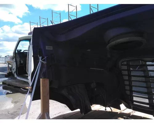 FREIGHTLINER CASCADIA 132 2010-2018 HOOD