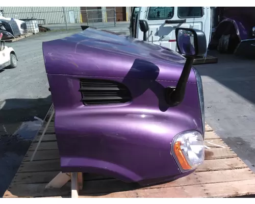 FREIGHTLINER CASCADIA 132 2010-2018 HOOD