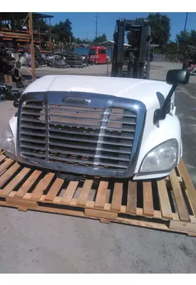 FREIGHTLINER CASCADIA 132 HOOD