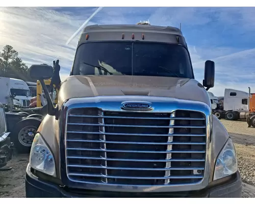 FREIGHTLINER CASCADIA 132 HOOD