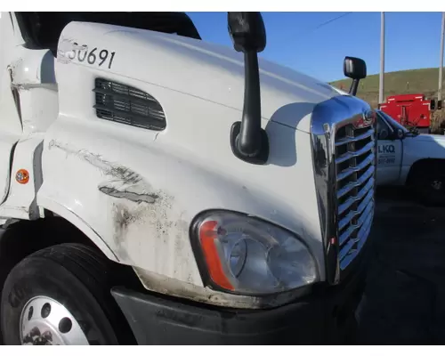 FREIGHTLINER CASCADIA 132 HOOD