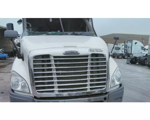 FREIGHTLINER CASCADIA 132 HOOD