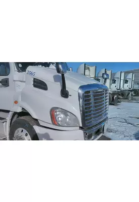 FREIGHTLINER CASCADIA 132 HOOD