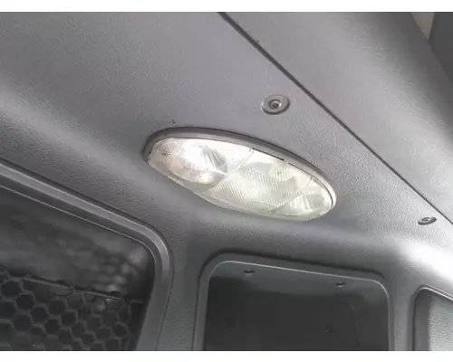 FREIGHTLINER CASCADIA 132 INTERIOR CAB LIGHT