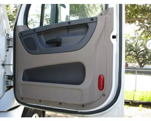 FREIGHTLINER CASCADIA 2008-2018 DOOR ASSEMBLY, FRONT