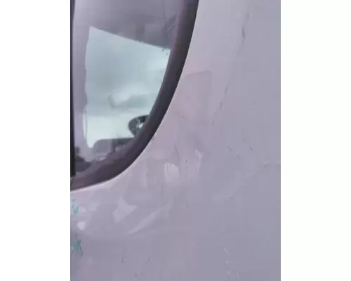 FREIGHTLINER CASCADIA 2008-2018 DOOR ASSEMBLY, FRONT