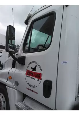 FREIGHTLINER CASCADIA 2008-2018 DOOR ASSEMBLY, FRONT