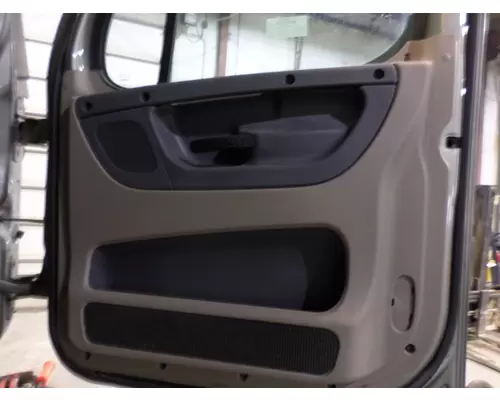 FREIGHTLINER CASCADIA 2008-2018 DOOR ASSEMBLY, FRONT