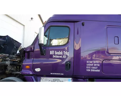 FREIGHTLINER CASCADIA 2008-2018 DOOR ASSEMBLY, FRONT