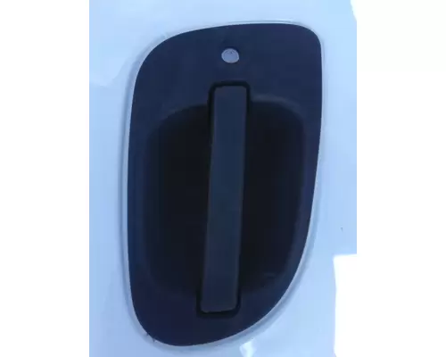 FREIGHTLINER CASCADIA 2008-2018 DOOR ASSEMBLY, FRONT