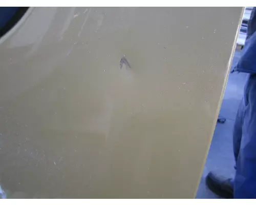 FREIGHTLINER CASCADIA 2008-2018 DOOR ASSEMBLY, FRONT