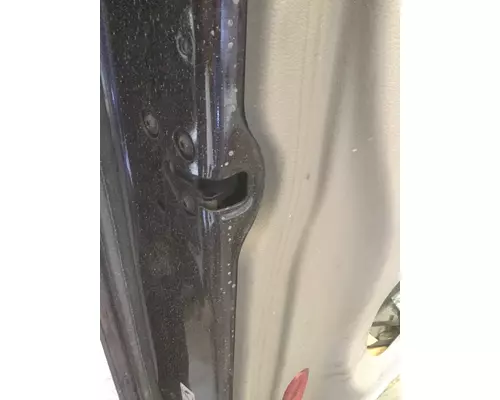 FREIGHTLINER CASCADIA 2008-2018 DOOR ASSEMBLY, FRONT